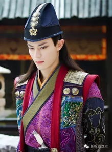 计无施扮演者，计无施蓝凤凰婚后