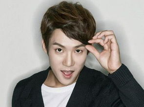 刘延锡个人资料，刘延锡多高