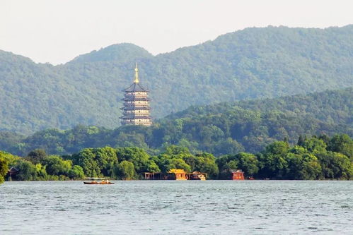 保俶塔实验学校，保俶塔小学