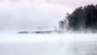 诗经·蒹葭的原文、注释及译文