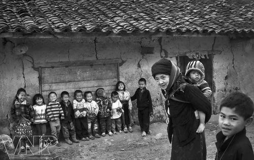 间硝基苯磺酸钠的基本信息