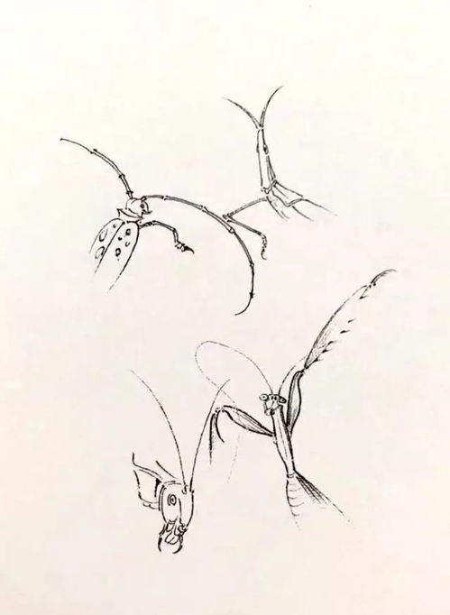 鼠须毛笔，鼠须笔是什么动物毛