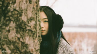 仙姿佚貌怎么读，仙姿玉貌是什么意思