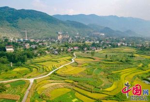 傍有什么行近字?在加组词?