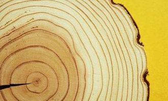 大自然的指南针会帮助你辨别方向这句话对吗，大自然的指南针有哪些东西