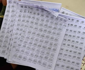 tardiness的形容词，tardiness怎么记忆