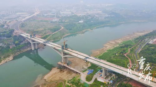 重庆最大的桥叫什么名字