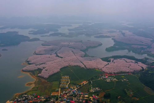 平坝县属于哪个市管，平坝县是属于哪个市