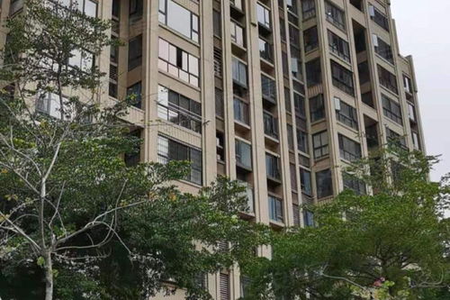 五月花海鲜大酒楼，五月花号上都是什么人