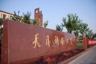 天津科技大学是211吗是双一流吗，天科大是一本还是二本