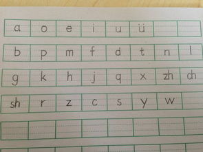 情景的拼音怎么写啊，情景的拼音是什么?