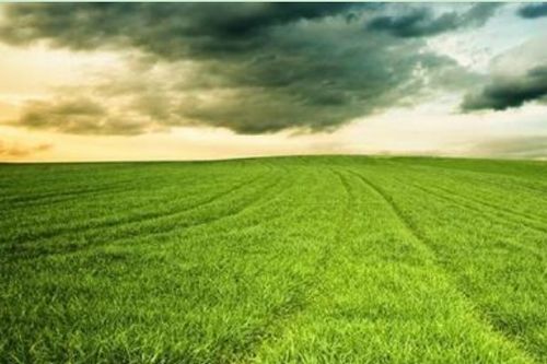 宽敞的意思和拼音，广阔的意思