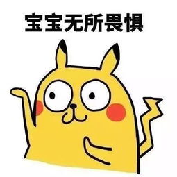 无所畏惧 什么意思