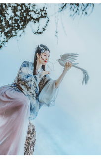 什么是“箜篌引”,有何典故?