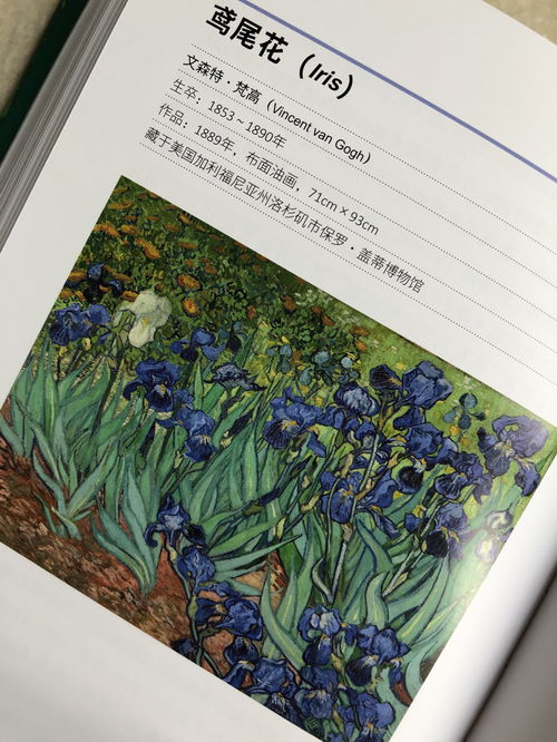 painting怎么读英语