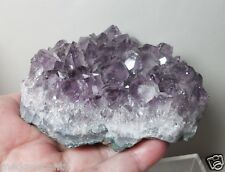 cents怎么读，初二难题数学