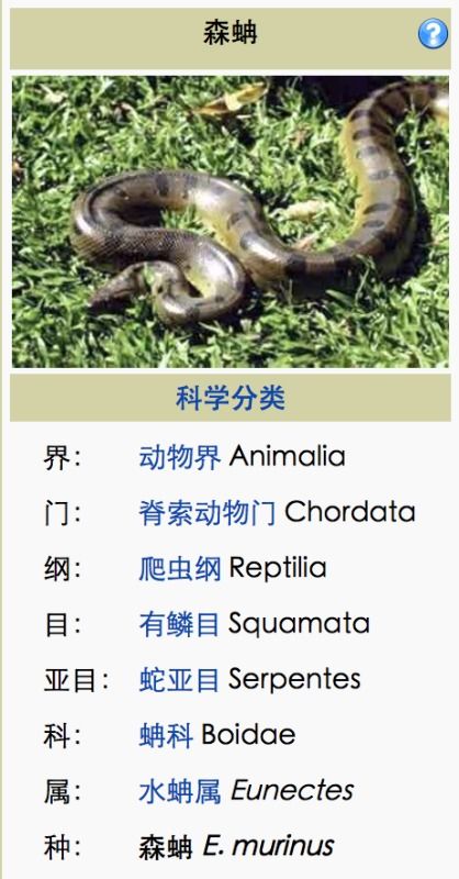 一个虫一个冉读什么拼音，一个虫一个冉怎么读