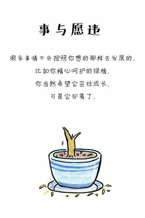 事与愿违造句简单，事与愿违说一句话