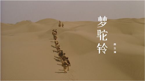 张明敏的《梦驼铃》 歌词