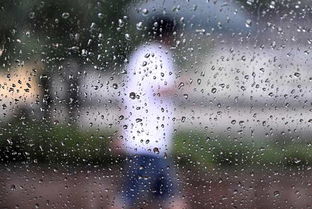 连阴雨的诗句，连阴雨的打油诗