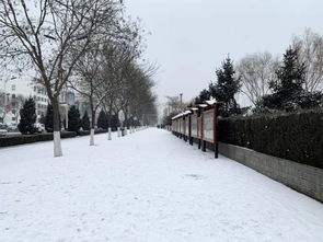 2月9号庆阳天气