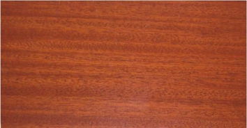 莫沙比利的说明书，莫沙比利的功效与作用方法