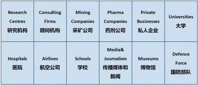 统计的英文怎么写?