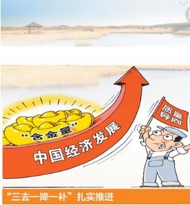 三去一补一将指的是什么，三去一降一补的一补是指