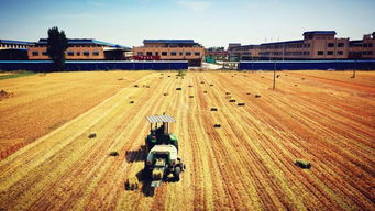 河南省南阳市卧龙区天气15天，河南省南阳市卧龙区天气预报15天查询