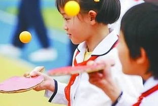 跟我学打乒乓球第一集，跟我学打乒乓球作文500字