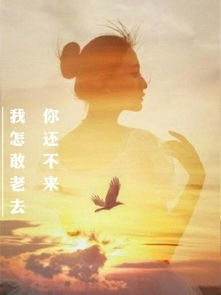 凄_的读音凄_的读音是什么