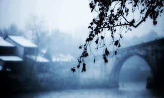 何处得秋霜的秋霜是什么意思