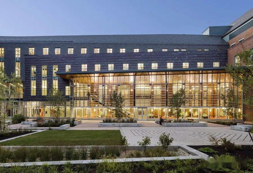 英语doctoral student怎么翻译?