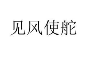见风使舵的近义词褒义词，见风使舵的近义词语