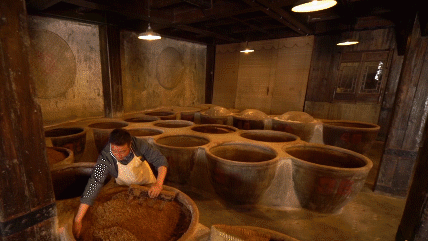 麟髓之醅是什么意思，绿蚁新醅酒的醅是什么意思