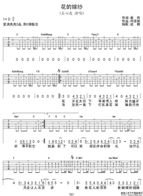 花的嫁纱 简谱，花的嫁纱歌词含义