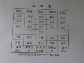 功课表模板 可爱，功课表英语单词怎么写