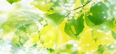 温暖的阳光写一段话，温暖的阳光照在我的脸上