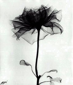 忧愁的图片，忧愁的句子说说心情