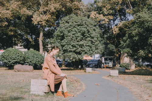 秋风辞原文注音及翻译，秋风辞刘彻表达了什么情感