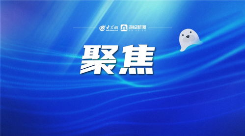 报到报道报导之间的区别，报道报导报到