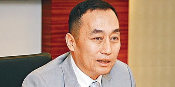 吴向东作别,央企华润置地步入唐勇时代