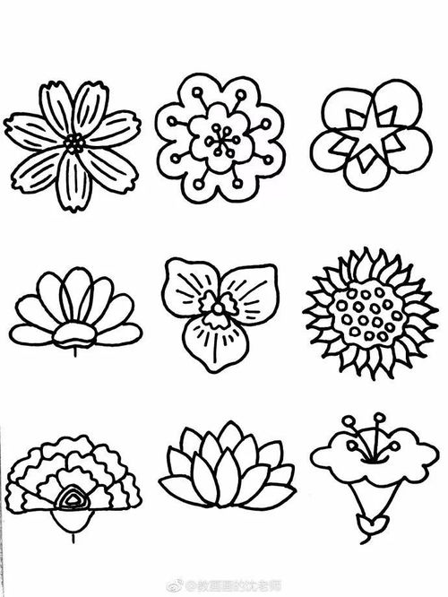 简笔画好看的花朵