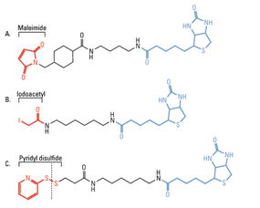 indicated翻译，indicate的用法