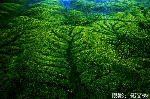 秋来李贺，秋来秋去歌词