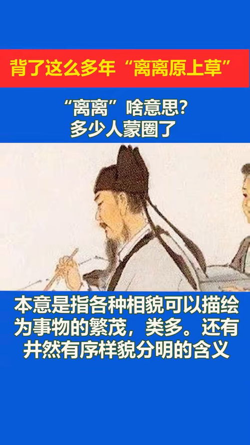 离离是什么意思?