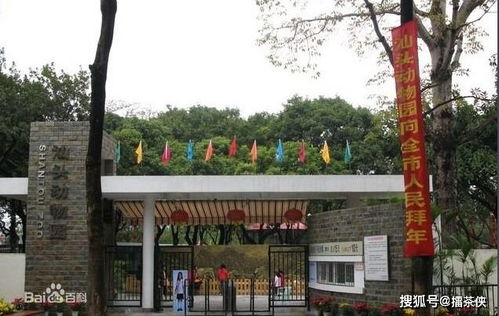 汕头动物园有熊猫吗