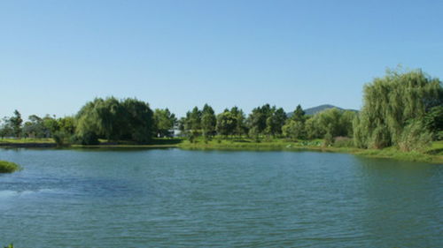 10月无锡旅游景点攻略，无锡旅游景点攻略惠山古镇