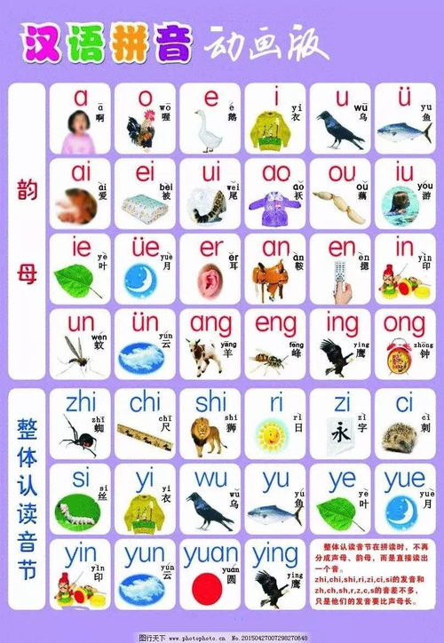 脑的拼音怎么拼写，脑筋的拼音