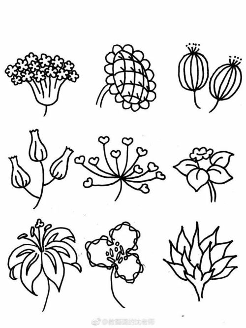 小花朵简笔画带颜色，小花朵简笔画卡通